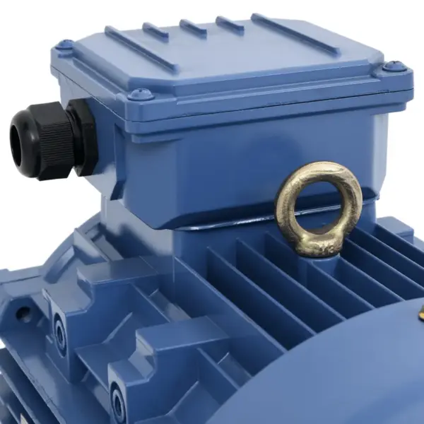 3-faasiline elektrimootor 3 kW, 2 poolust, 2840 p/min, alumiiniumkorpusega, sinine – 8