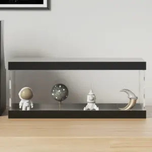 Tolmukindel akrüülist vitriinkast, läbipaistev, musta põhjaga, 34 x 16 x 14 cm