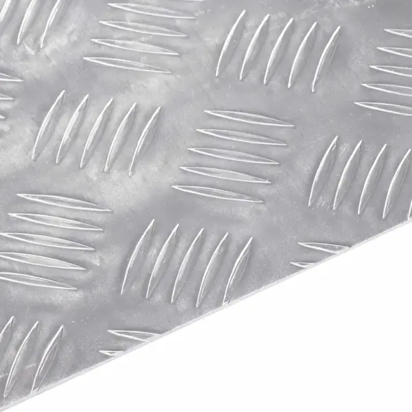 Alumiiniumist libisemisvastased trepiastme katted, 2 tk, hõbedased, 80 x 20 cm – 6