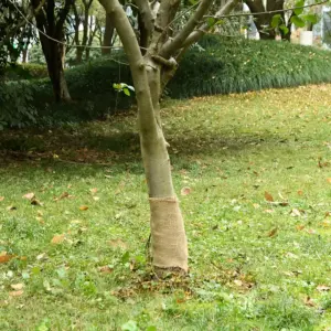 Džuudiriide rull dekoratsiooniks, naturaalne, 0,25 x 10 m, 100% džuut, 200 g/m²