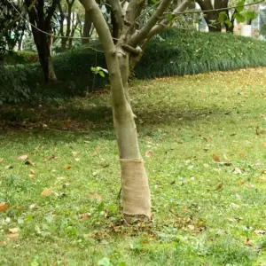 Džuudiriie rull dekoratsiooniks, 0,25 x 5 m, 100% looduslik džuut, 200 g/m²