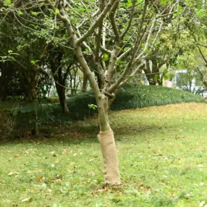 Džuutkangast dekoratiivne rull 0,5 x 5 m, 100% naturaalne, 200 g/m²