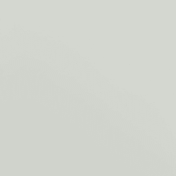 Helehall terasest dokumendikapp lukuga, 4 reguleeritava riiuliga, 90 x 40 x 220 cm – 12