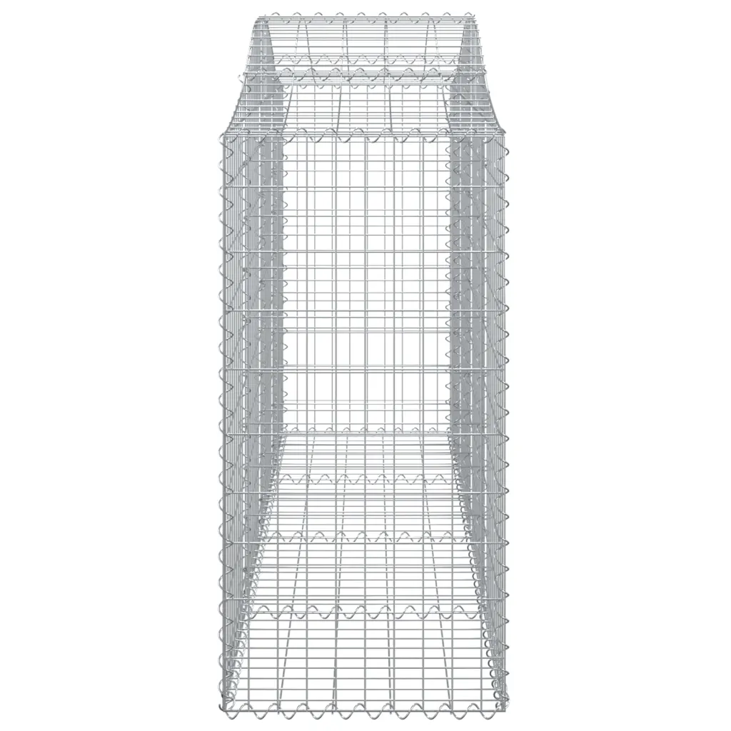Kaarekujulised gabioonkorvid aiaseinaks, 40 tk, tsingitud raud, hõbedane, 200 x 50 x 120/140 cm