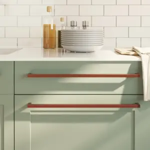 Pronksikarva roostevabast terasest kapi käepidemed, 10 tk, ava vahe 480 mm