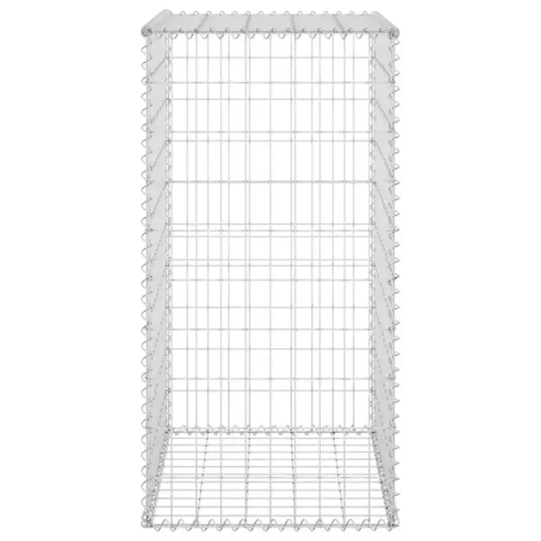 Kattetega gabioonsein, tsingitud teras, hõbedane, 60 x 50 x 100 cm – 5