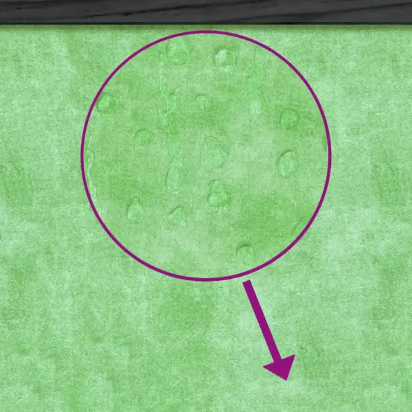 Koerakuut veekindla rohelise katusega, hall-valge, männipuit, 96 x 60,5 x 87 cm – 7