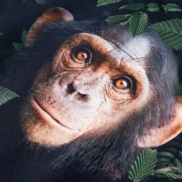 Laste dressipluus ahvitrükiga, tume khaki, suurus 104 – 4