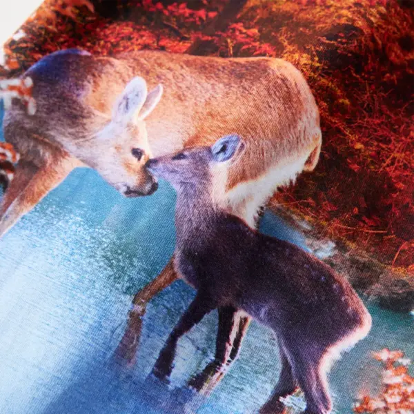 Pikkade varrukatega laste kleit hirvepildiga, vanaroosa, suurus 140 (9–10 a) – 4