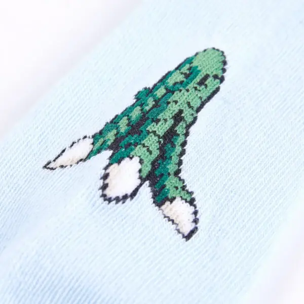 Laste sokid trükimustriga, 5 paari, sinine/hele khaki/helesinine, EU 26–29 – 2