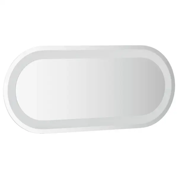 LED vannitoapeegel IP65 kaitsega, ovaalne, USB-toitega, klaasist, 70 x 30 cm - 4