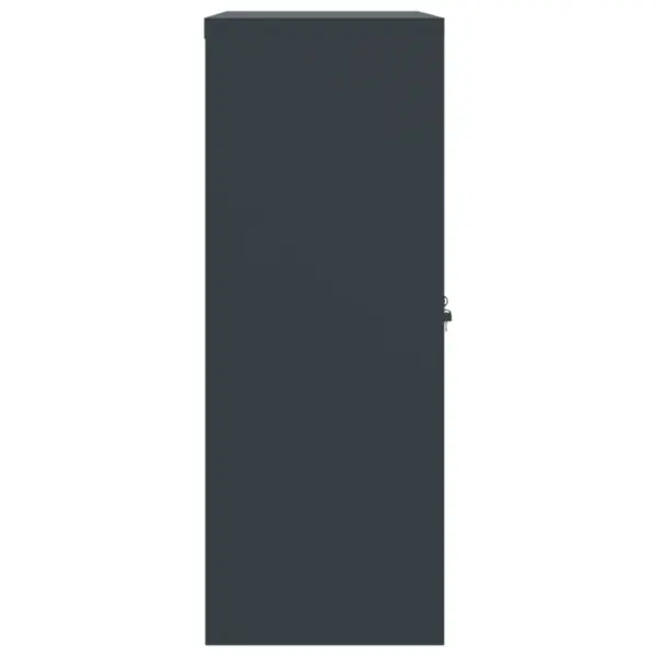 Lukustatav dokumendikapp reguleeritavate riiulitega, antratsiithall, 90 x 40 x 105 cm, teras – 5