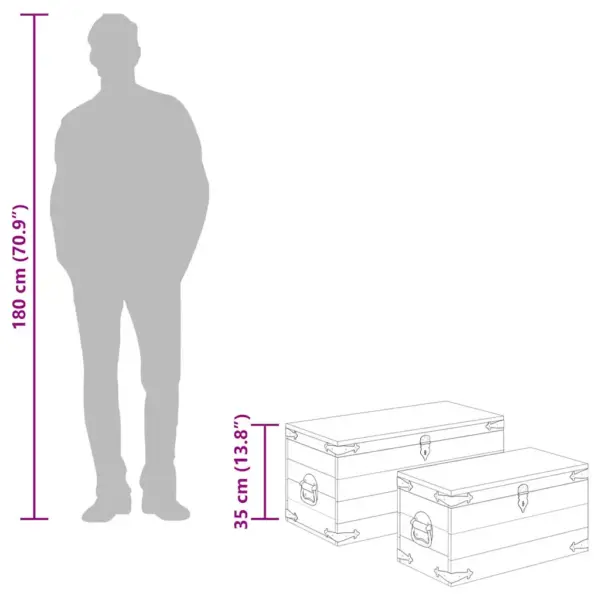Käsitsi valmistatud mangopuidust hoiukastid, 2 tk, pruun – 12