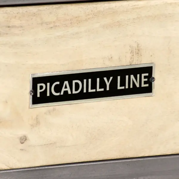 Industriaalstiilis telerikapp mangopuidust ja terasest, mitmevärviline, 120 x 30 x 45 cm – 5