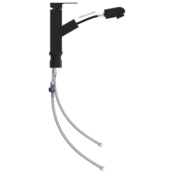 Vannitoasegisti väljatõmmatava 360° tilaga, must, 157 x 172 mm – 2