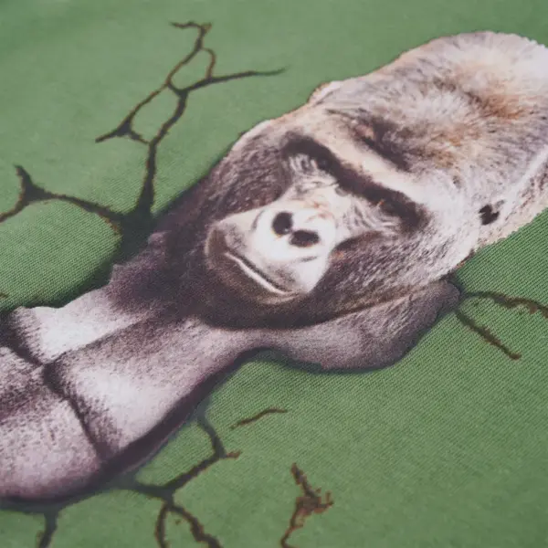 Pikkade varrukatega laste särk gorillapildiga, roheline, suurus 104 - 4