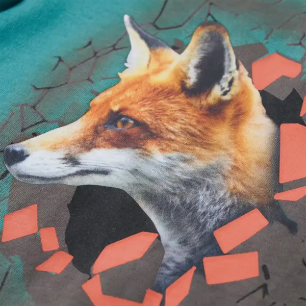 Pikkade varrukatega lastesärk rebasepildiga, rohekas-sinine, 116 – 4