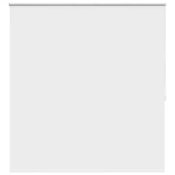 Pimendav ruloo termokattekihiga, valge, 160 x 175 cm – 2