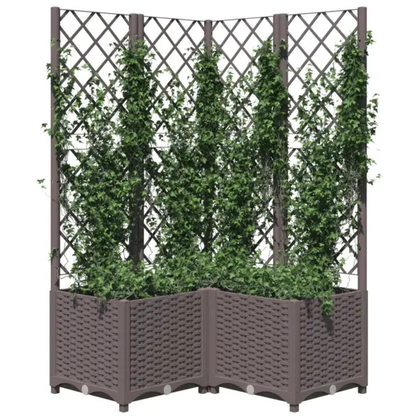 Pruun võreseinaga taimekast, PP, 80 x 80 x 136 cm - 3