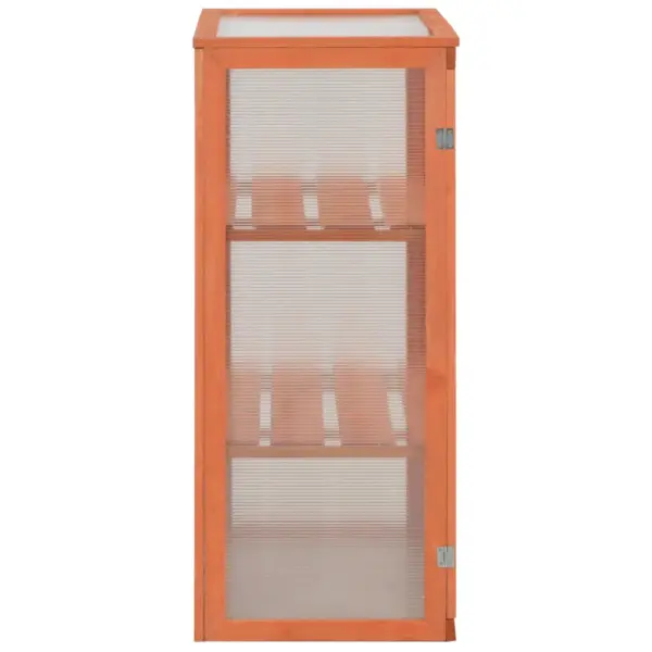 Puidust pruun minikasvuhoone 2 ukse ja 2 riiuliga, 75 x 47 x 109 cm – 5