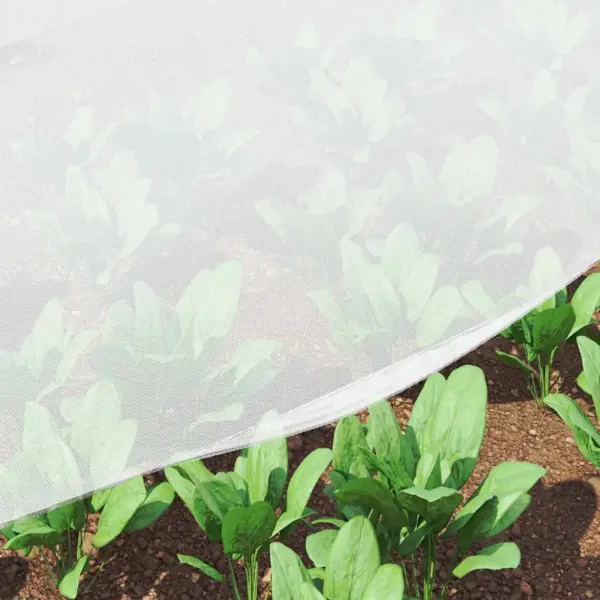 Putukavõrk taimede kaitseks, valge polüetüleen, 2 x 10 m – 5