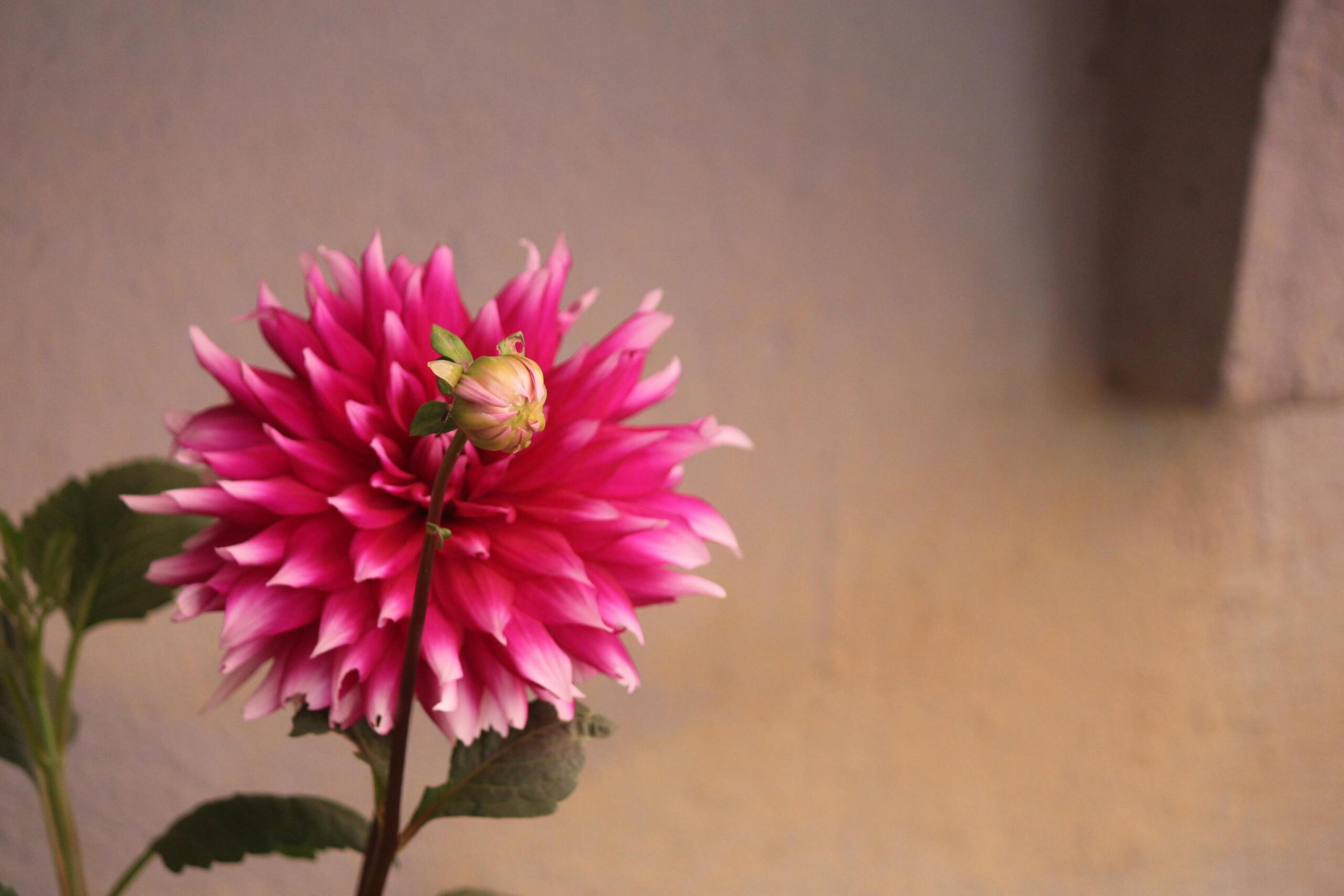 Valge PVC kaablikanalite komplekt 10 osaga