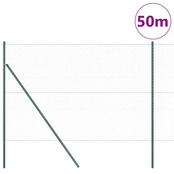 Roheline aiavõrgu ja postide komplekt, teras ja PVC, 50 x 1,6 m – 3