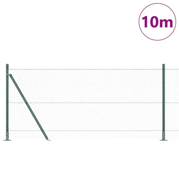Roheline aiavõrgu ja postide komplekt, teras ja PVC, 10 x 0,8 m, 36 mm silmaga – 3
