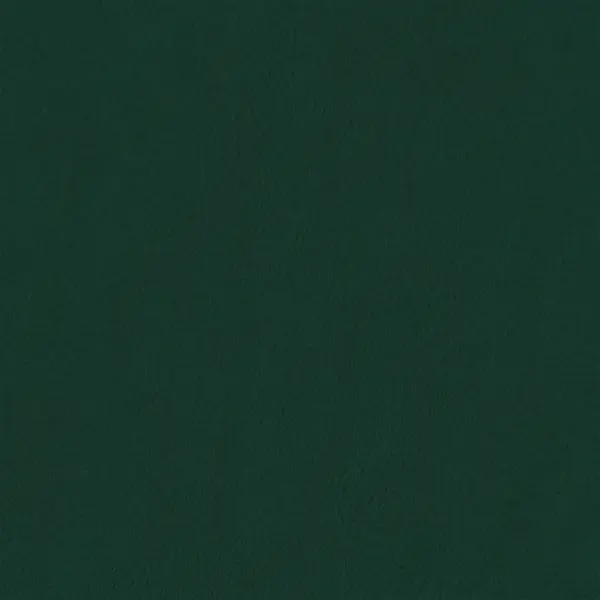 Reguleeritava kõrgusega sametist söögitoolid, 2 tk, tumeroheline, metallraamiga, 44 x 50 x 74–84 cm – 9