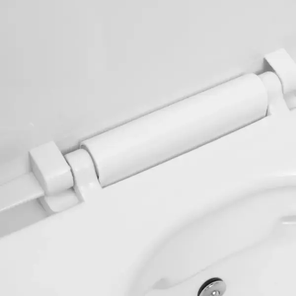 Seinale kinnitatav ääreta bideefunktsiooniga tualettpott, valge, 36,5 x 48 x 41,5 cm – 8