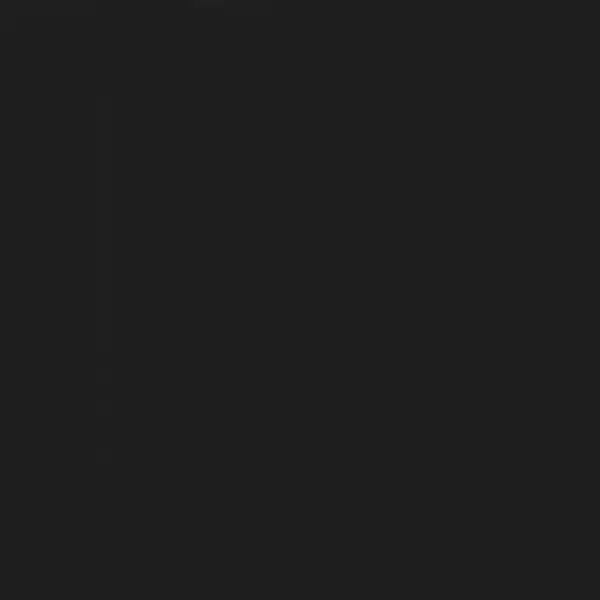 Sissetõmmatav terrassivarikatus, käsitsi juhitav, antratsiithall, 300 x 150 cm – 7