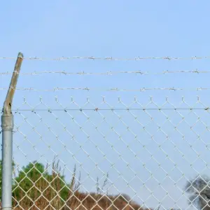 Tsingitud okastraat piirdeaiale, Ø 1,6 mm, 2-keerdu, 4-haruline kida, rull 500 m