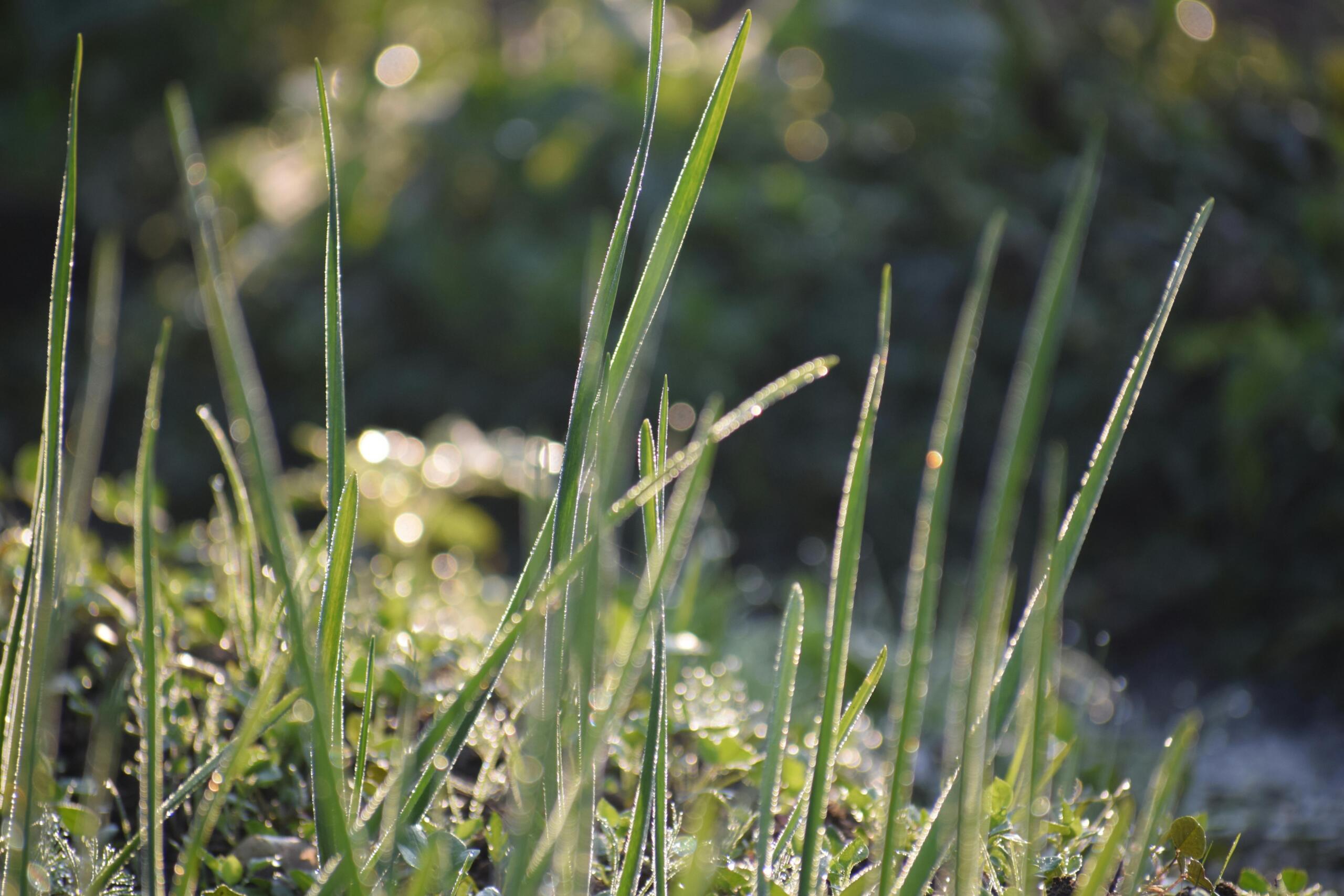 Must ümmargune seinapeegel puumustriga elutoa seinal