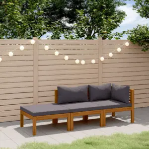 3-osaline moodne aiadiivanikomplekt patjadega, õliviimistlusega akaatsiapuidust raam, tumehall