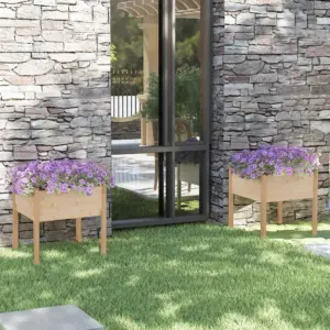 Aia taimekastid 2 tk, töötlemata männipuit, 70 x 70 x 70 cm