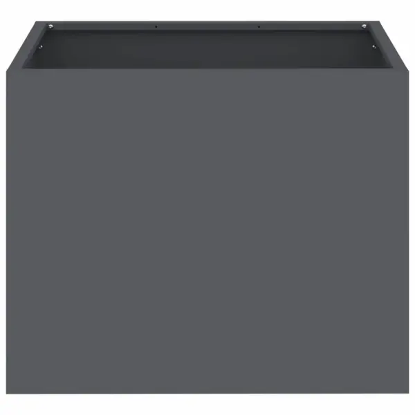 Aia istutuskast, antratsiit, külmvaltsitud teras, 50 x 32 x 40 cm – 5