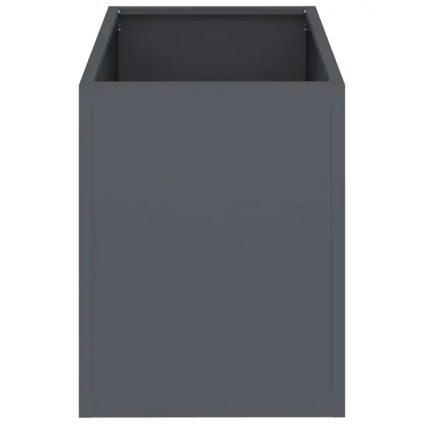 Aia istutuskast, antratsiit, külmvaltsitud teras, 50 x 32 x 40 cm – 6
