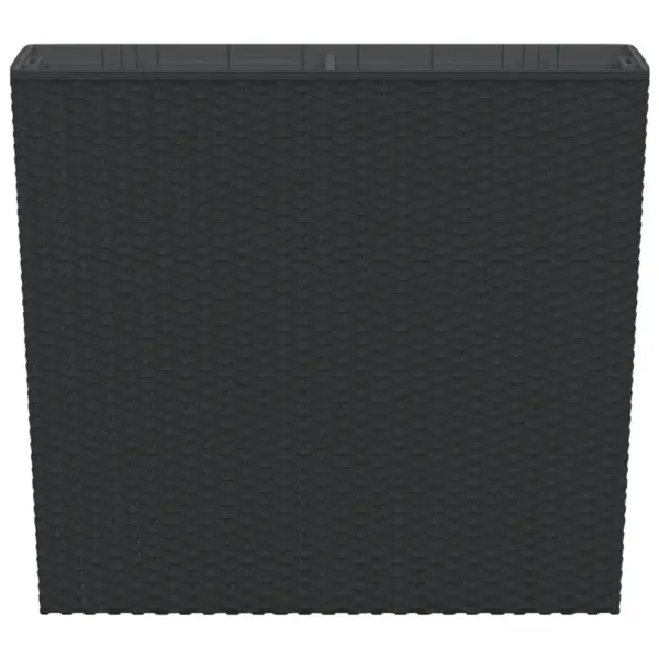 Taimekast eemaldatava sisuga, antratsiithall, 58 x 18 x 50 cm, PP-rotang, 12/44 l – 4