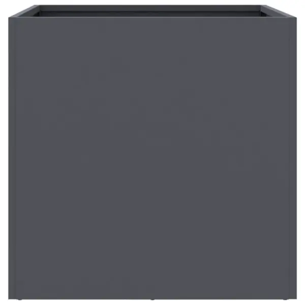 Antratsiithall terasest taimekast, külmvaltsitud teras, 49 x 47 x 46 cm – 6