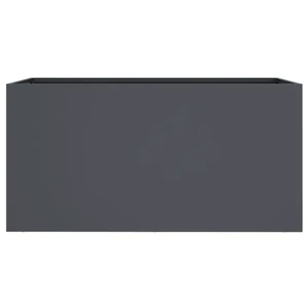 Antratsiithall terasest taimekast, külmvaltsitud teras, 62 x 30 x 29 cm – 5