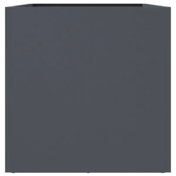 Antratsiithall terasest taimekast, külmvaltsitud teras, 62 x 30 x 29 cm – 6