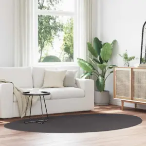 Libisemiskindel polüestervaip Huarte, antratsiit, 160 x 230 cm