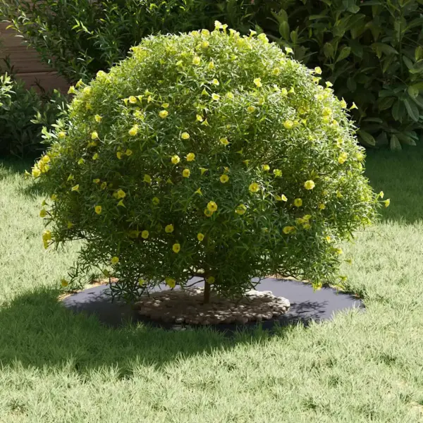 Lamedad dekoratiivsed terasest puuringid, 5 tk, antratsiit, Ø30/60 cm – 3