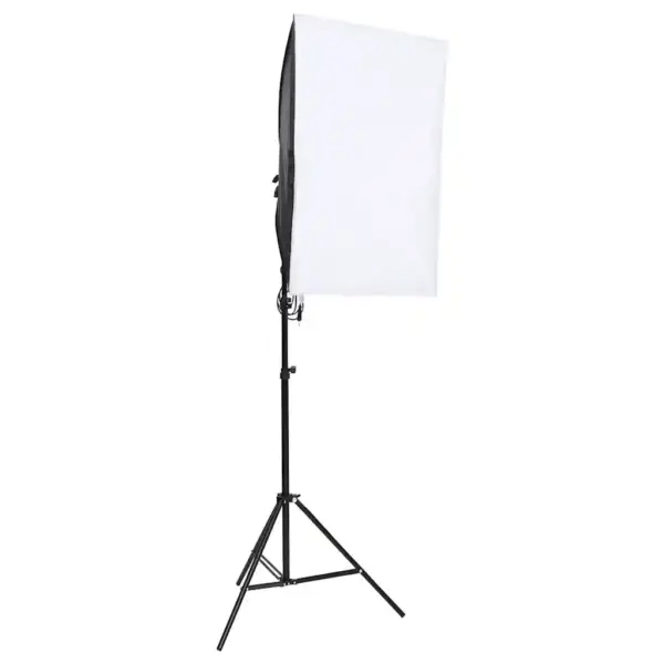 Fotostuudiokomplekt softbox-valgustuse ja musta taustaga, 2 LED-lampi, 600 x 300 cm – 3