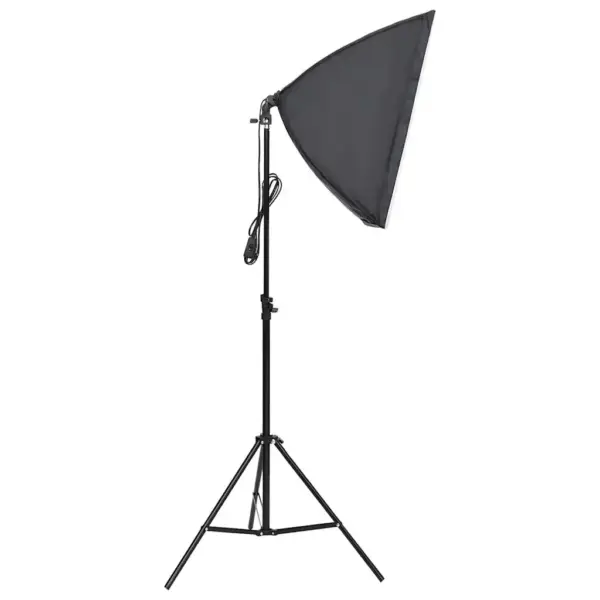 Fotostuudiokomplekt softbox-valgustuse ja musta taustaga, 2 LED-lampi, 600 x 300 cm – 4
