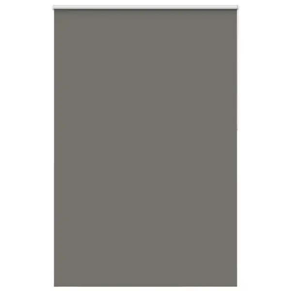 Pimendav ruloo, hall, 165 x 230 cm, kanga laius 161,6 cm, 100% polüster – 2