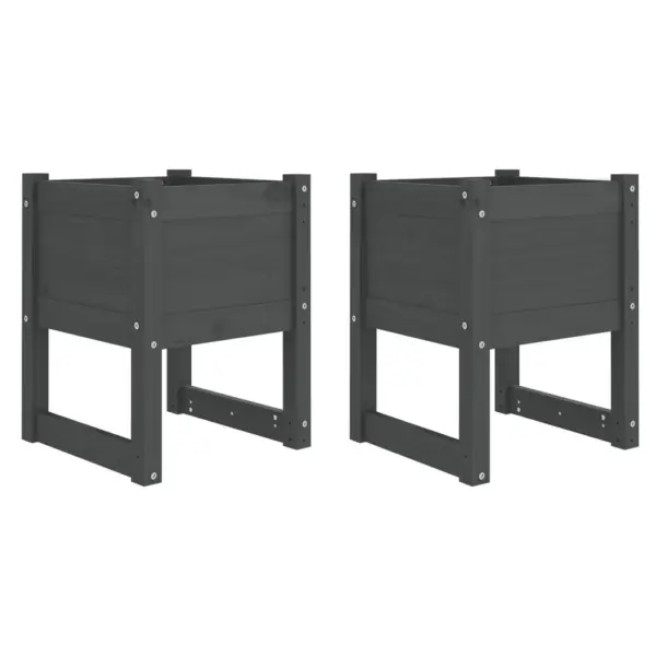 Tõstetud taimekastid, 2 tk, hall täismännipuidust, 40 x 40 x 52,5 cm – 2