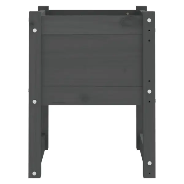 Tõstetud taimekastid, 2 tk, hall täismännipuidust, 40 x 40 x 52,5 cm – 5