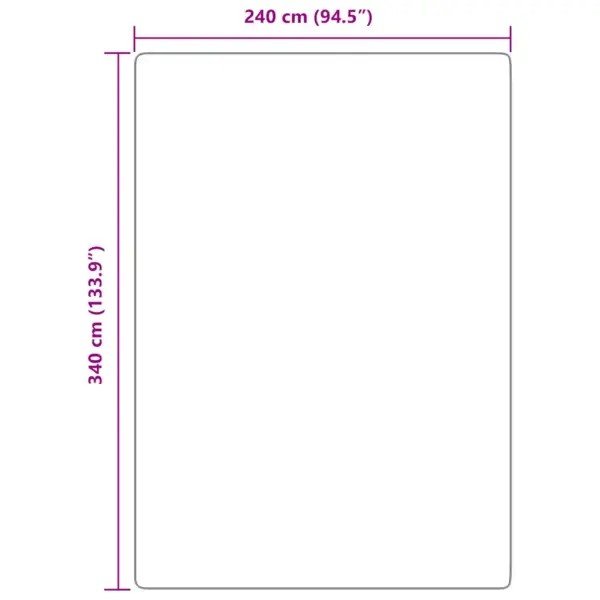 Pikakarvaline vaip NAVARRA, hõbehall, 240 x 340 cm – 10