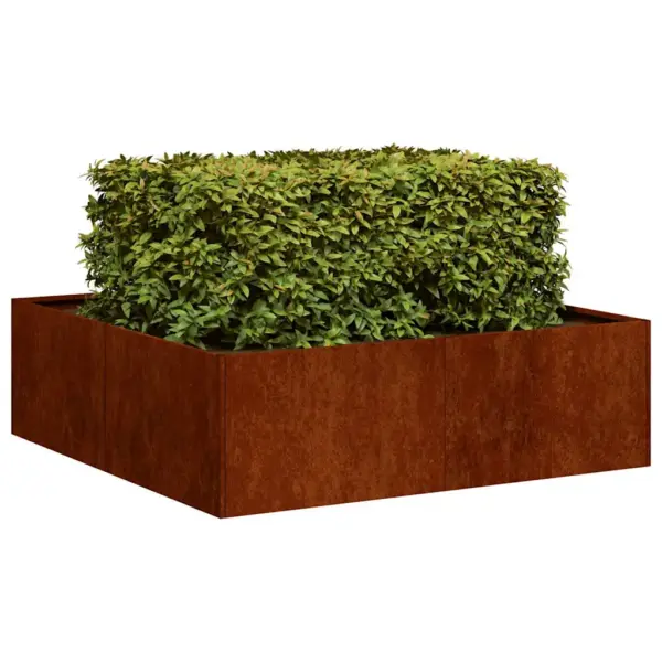 Ilmastikukindlast terasest taimekast, roostevärvi, 100 x 100 x 30 cm, avatud põhjaga – 3